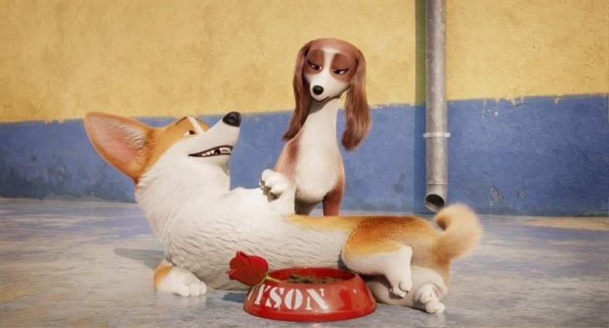 Mê cún cưng thì nhất định không thể bỏ qua những siêu boss này trong 'Corgi: Những chú chó Hoàng gia' Ảnh 4