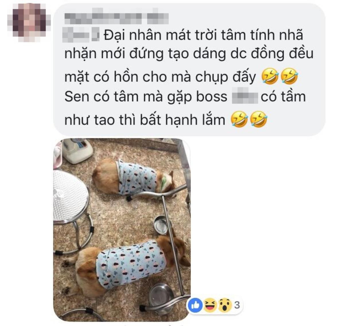 Đằng sau bức ảnh đẹp cho 'boss' là một 'con sen' có tâm Ảnh 5