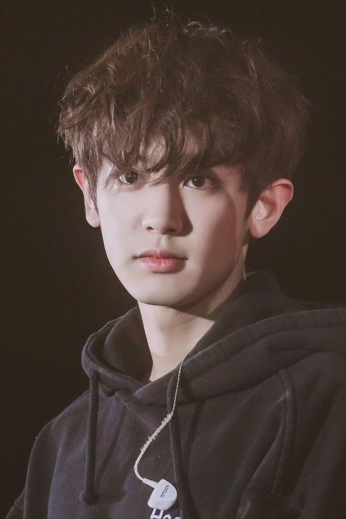 Fans Chanyeol (EXO) tiết lộ món quà 'khủng' tặng thần tượng khiến nhiều người rất xúc động! Ảnh 3