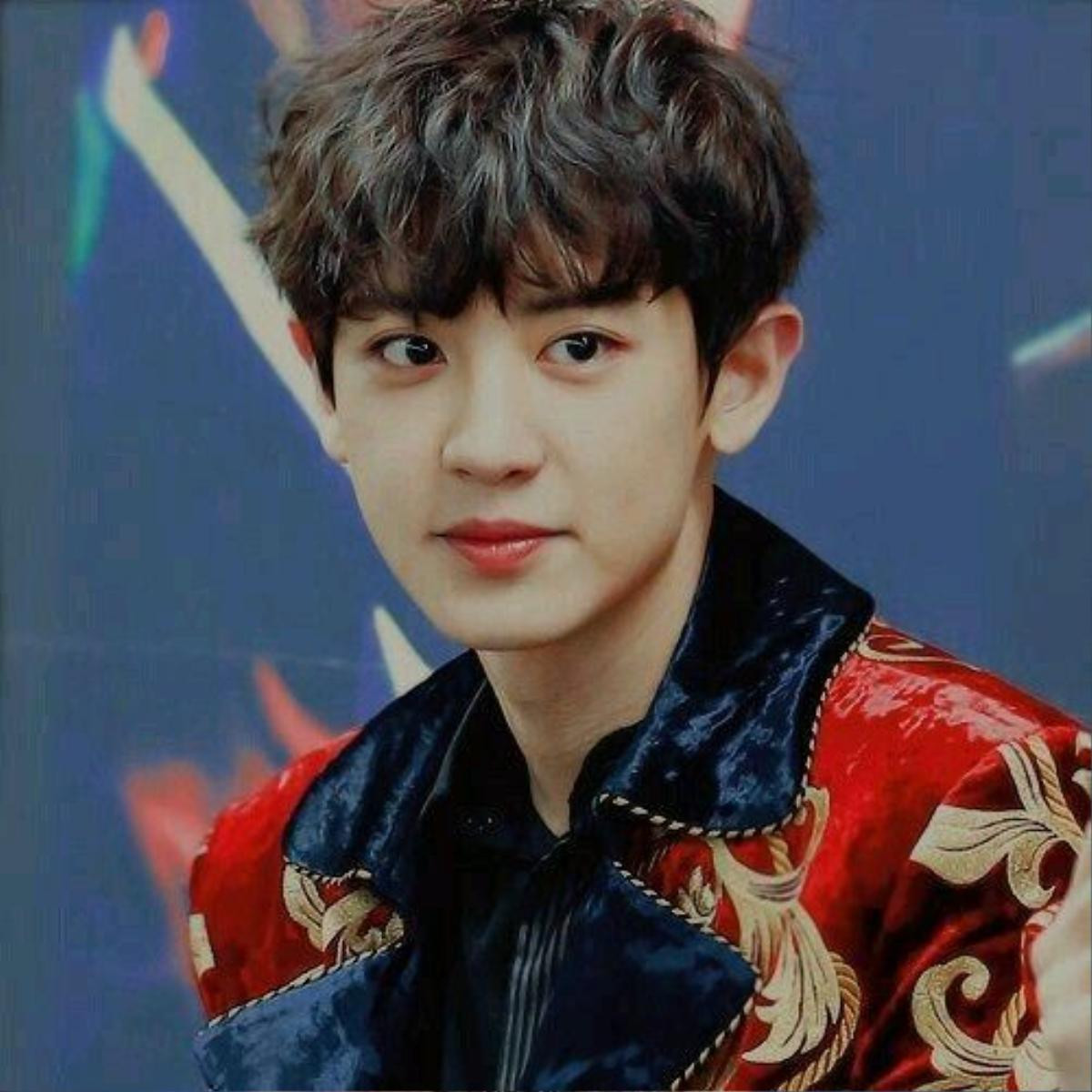 Fans Chanyeol (EXO) tiết lộ món quà 'khủng' tặng thần tượng khiến nhiều người rất xúc động! Ảnh 1