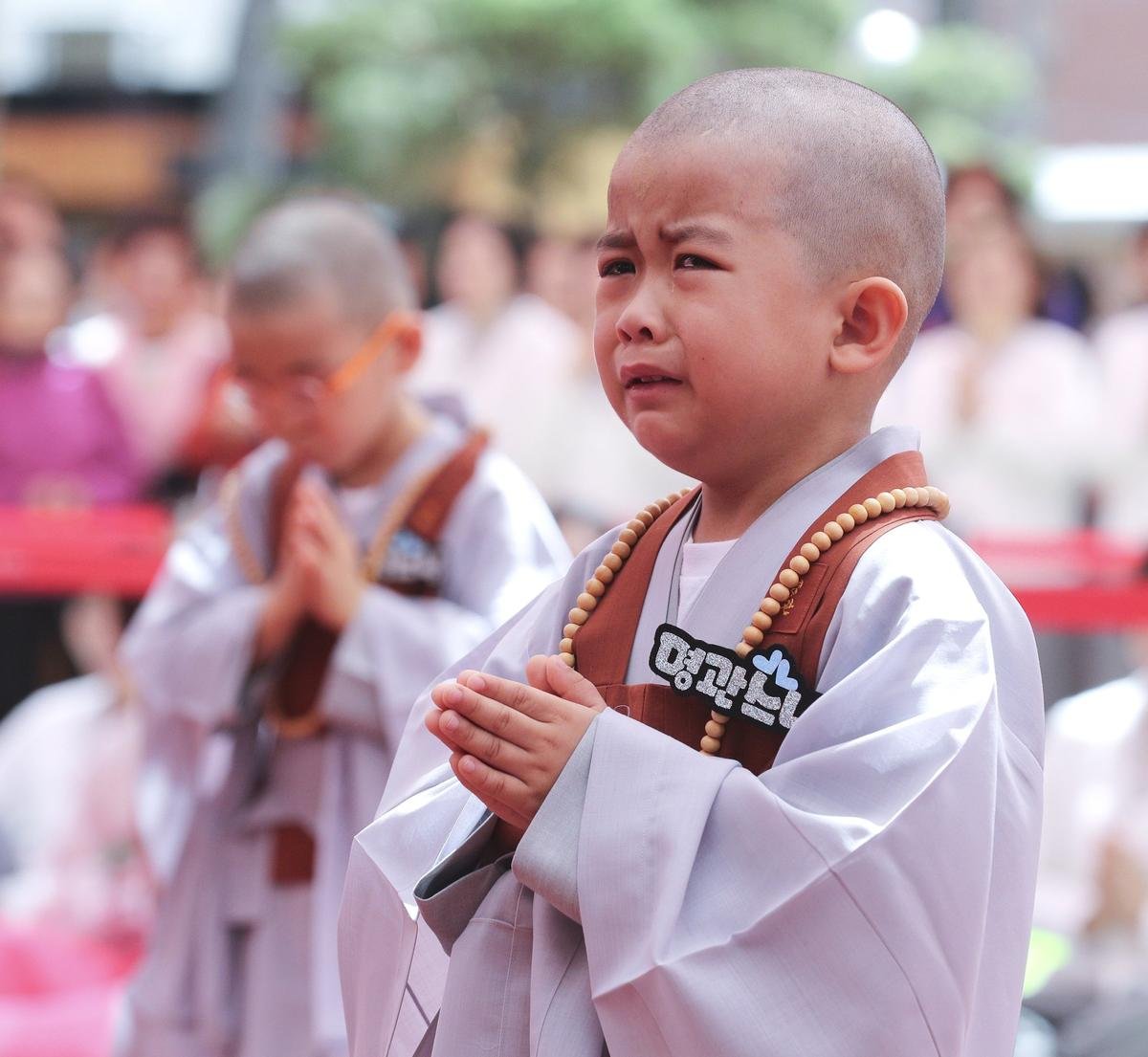 'Cưng muốn xỉu' trước 50 sắc thái của các chú tiểu ở Hàn Quốc trong ngày lễ Phật đản Ảnh 12