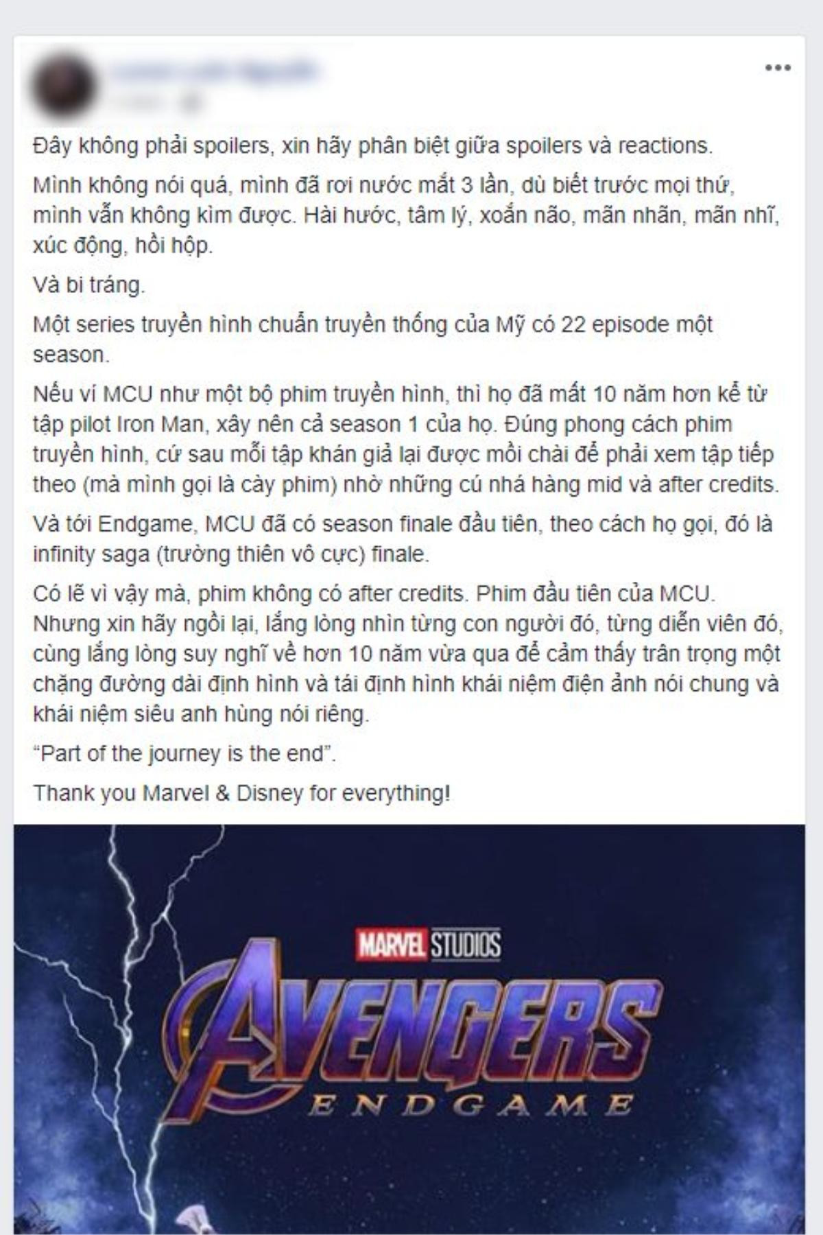 Nhận xét không spoil của những khán giả Việt xem 'Avengers: Endgame' đầu tiên: Xuất thần, đỉnh cao, chết lặng và bi tráng Ảnh 12