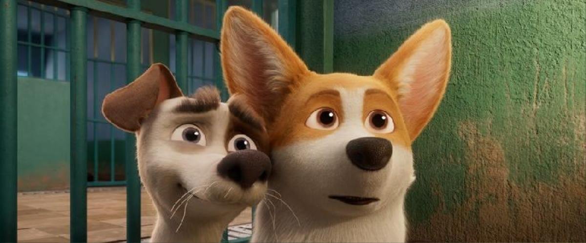 'The Queen's Corgi': Màn cung đấu của những chú chó hoàng gia Ảnh 18