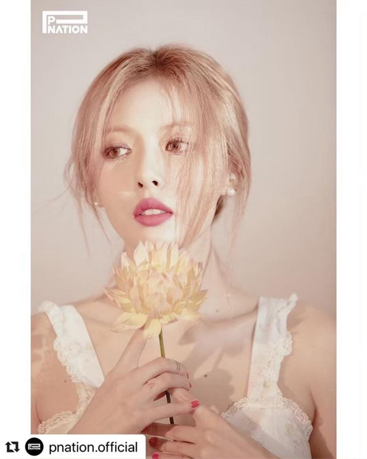 HyunA xuất hiện trong bộ ảnh ‘điểm danh’ của P Nationa, fan ‘la ó’ hãy dùng concept này để comeback đi nào! Ảnh 5