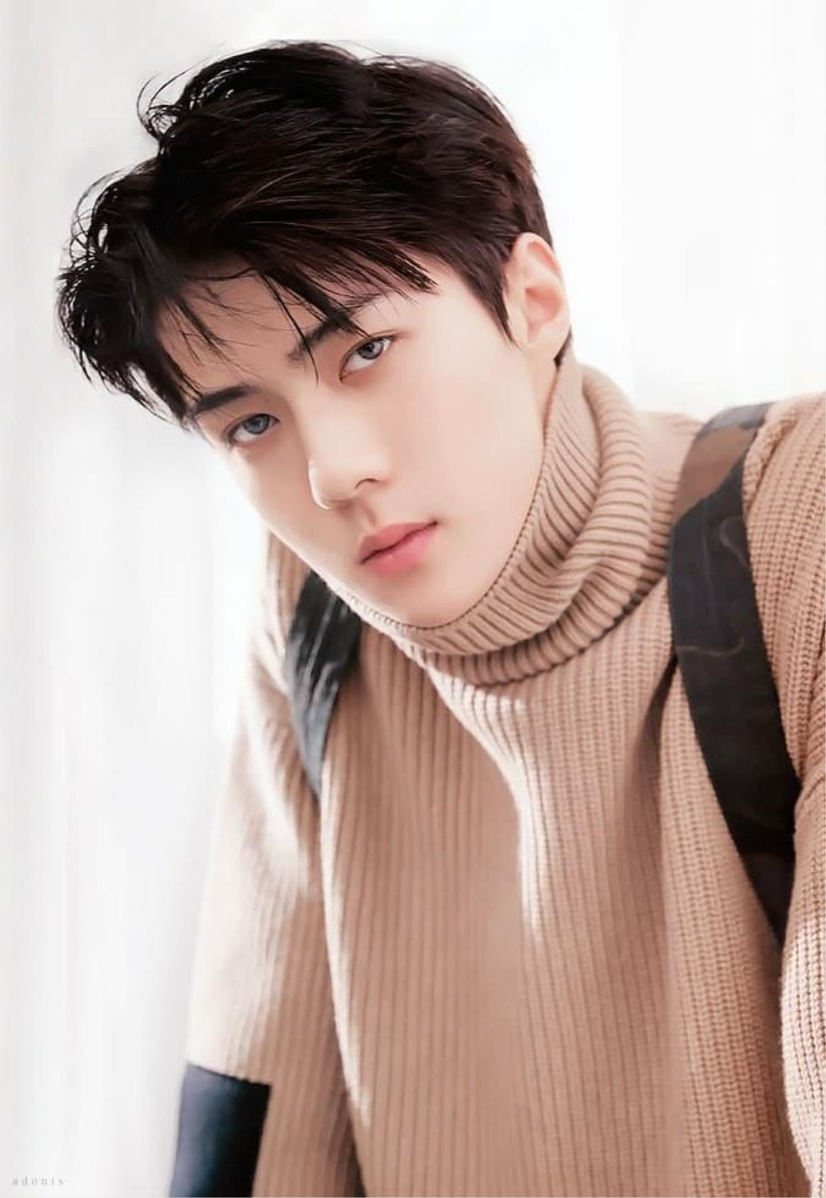 Sehun là fanboy của siêu mẫu Miranda Kerr, Baekhyun là người đầu tiên có vinh dự này trong ngày sinh nhật Ảnh 1