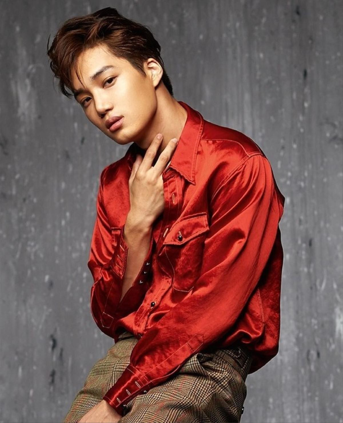 Kai (EXO) sắp xuất hiện trên chương trình giải trí mới và làm điều này khiến fan của Ravi (VIXX) nghẹt thở Ảnh 8