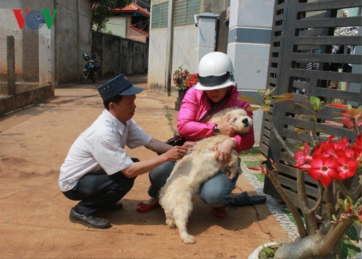 Thêm một bé trai bị chó hàng xóm nuôi cắn tử vong ở Đắk Lắk Ảnh 1