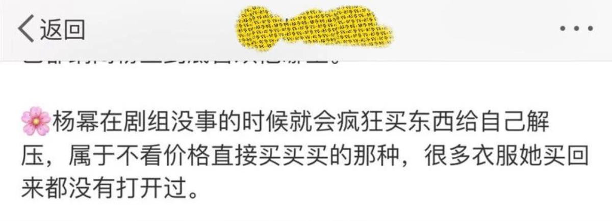 Dương Mịch giải tỏa áp lực xa xỉ bao nhiêu? Mua đồ không xem giá cả, thậm chí mua rồi cũng không mặc? Ảnh 2