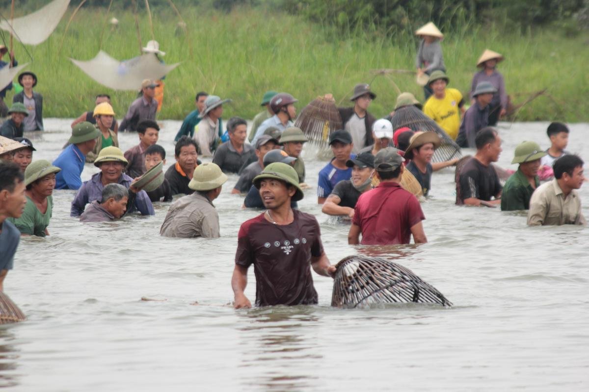 Lễ hội đánh cá Đồng Hoa: Mọi người tay nơm ào xuống vực đánh cá sau tiếng hú của trưởng làng Ảnh 9