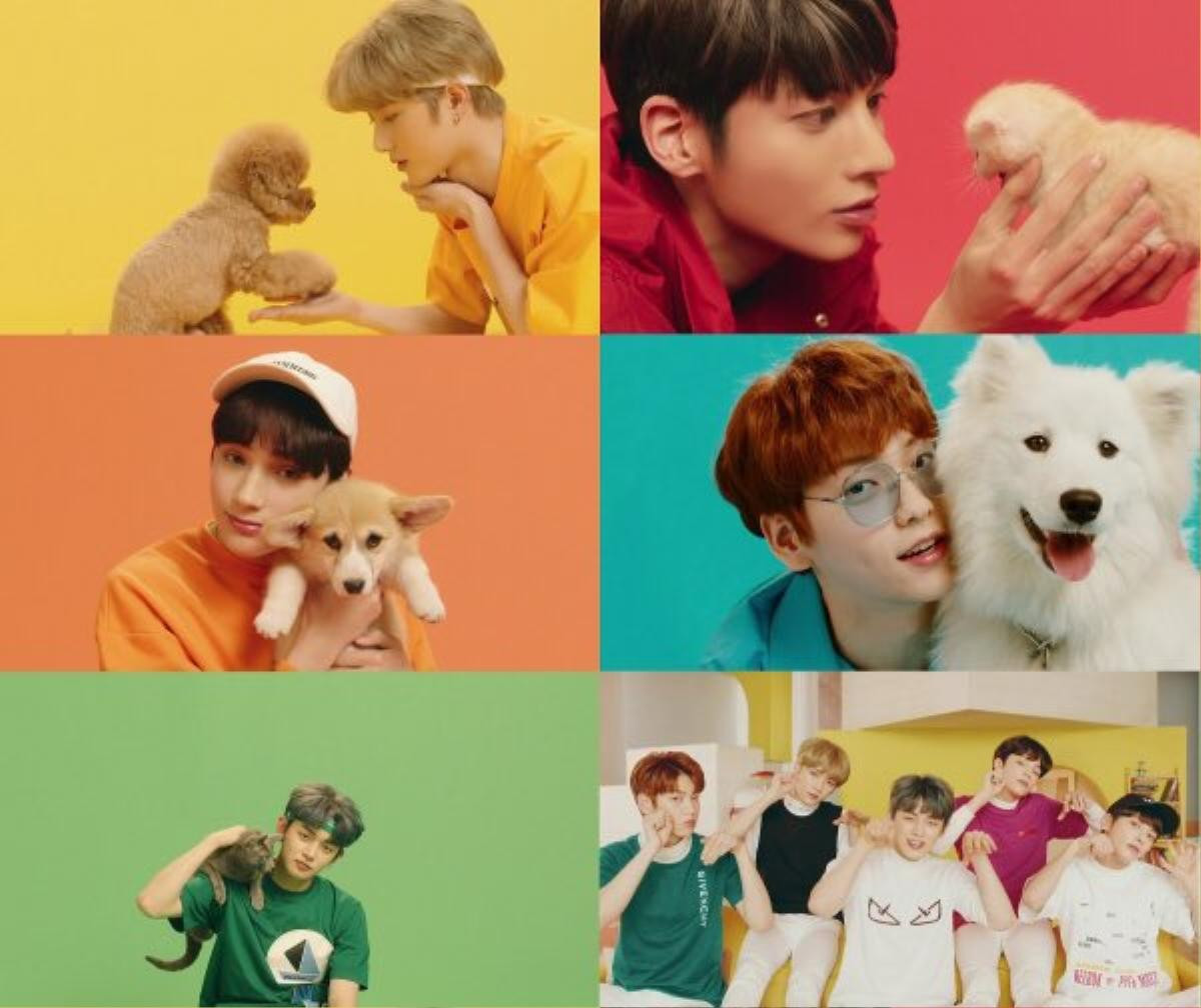 TXT ‘nhí nhảnh phát hờn’ khiến fan lao đao trong MV ‘Cat & Dog’ bản Dance Practice Ảnh 2