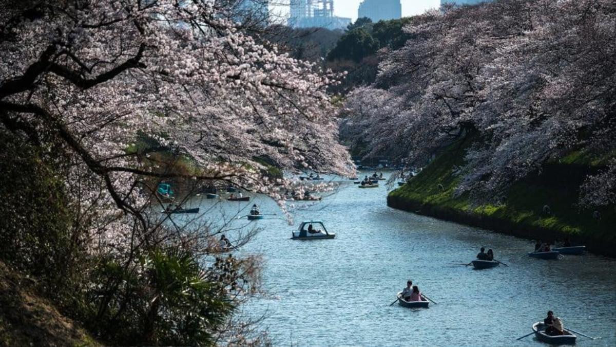 Hoàng cung Tokyo, nơi Nhật hoàng mới đăng cơ Ảnh 9