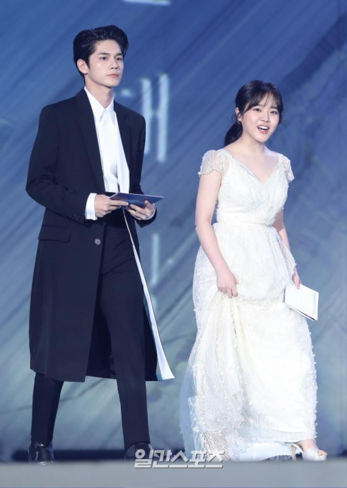 Sân khấu 'Baeksang 2019': Ha Ji Won khoe vòng 1 khủng, Ong Seong Woo - Park Hyung Sik bảnh trai Ảnh 5