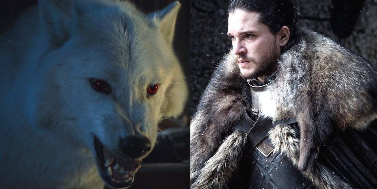 'Game of Thrones' tập 4 tiết lộ chuyện gì đã xảy ra với Ghost sau trận chiến thành Winterfell Ảnh 5