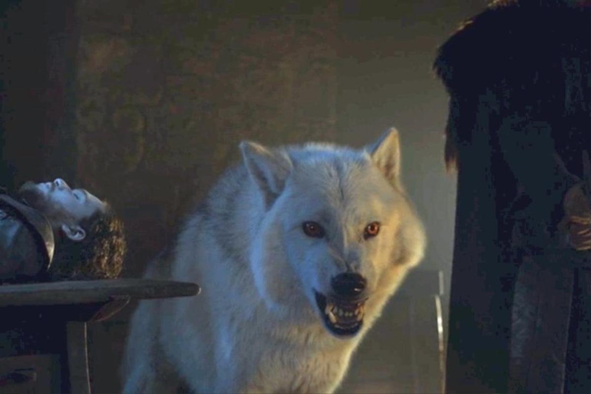 'Game of Thrones' tập 4 tiết lộ chuyện gì đã xảy ra với Ghost sau trận chiến thành Winterfell Ảnh 1