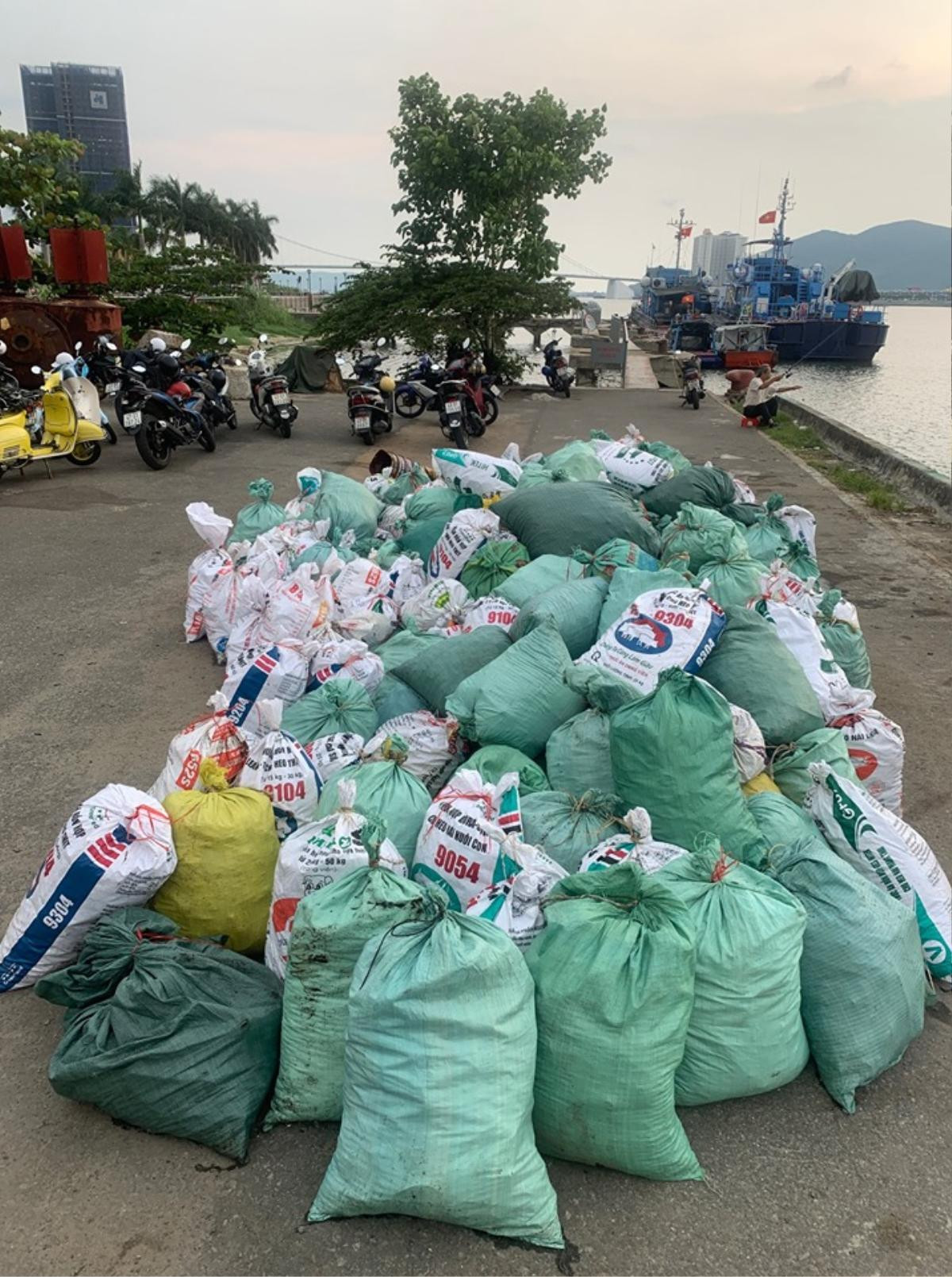 Hơn 10 ngày dọn rác, làm sạch bán đảo Sơn Trà đáng ngưỡng mộ của nhóm bạn đến từ Đà Nẵng Ảnh 17