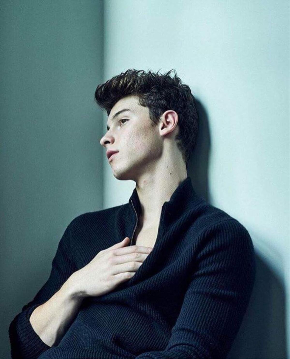 Những MV của Shawn Mendes: 'Hiện tượng 6 giây' năm nào nay đã là nam thần vạn người mê Ảnh 4