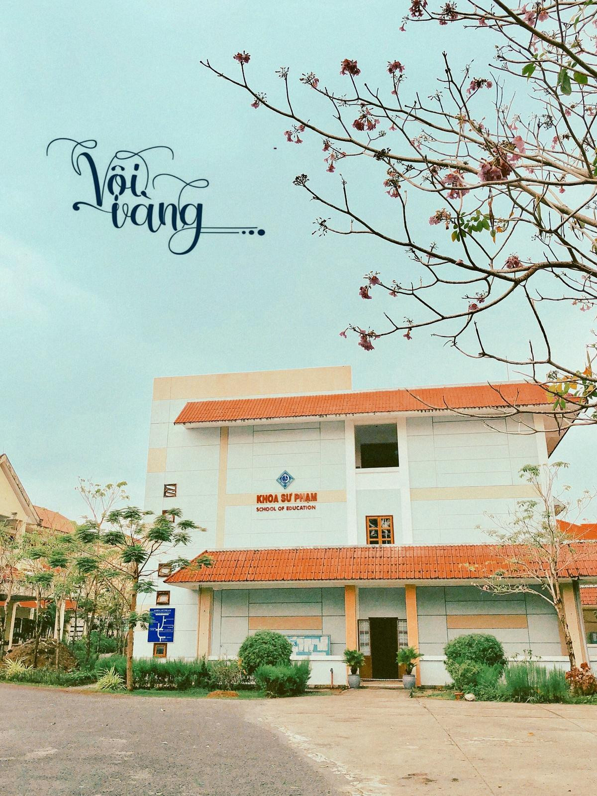 Lạc vào Đại học Cần Thơ 'xịn như Hàn Quốc', đã đặt chân tới chẳng nỡ rời Ảnh 10