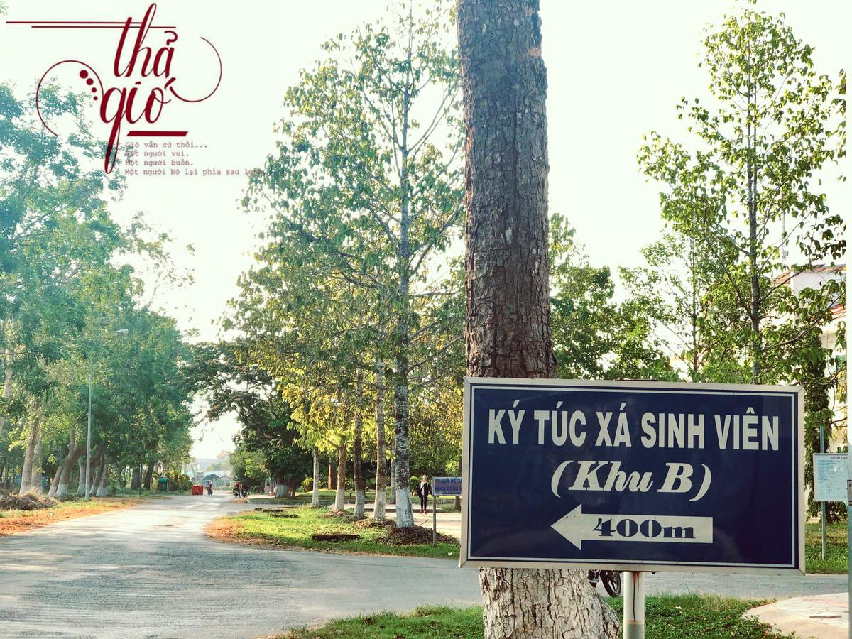 Lạc vào Đại học Cần Thơ 'xịn như Hàn Quốc', đã đặt chân tới chẳng nỡ rời Ảnh 8