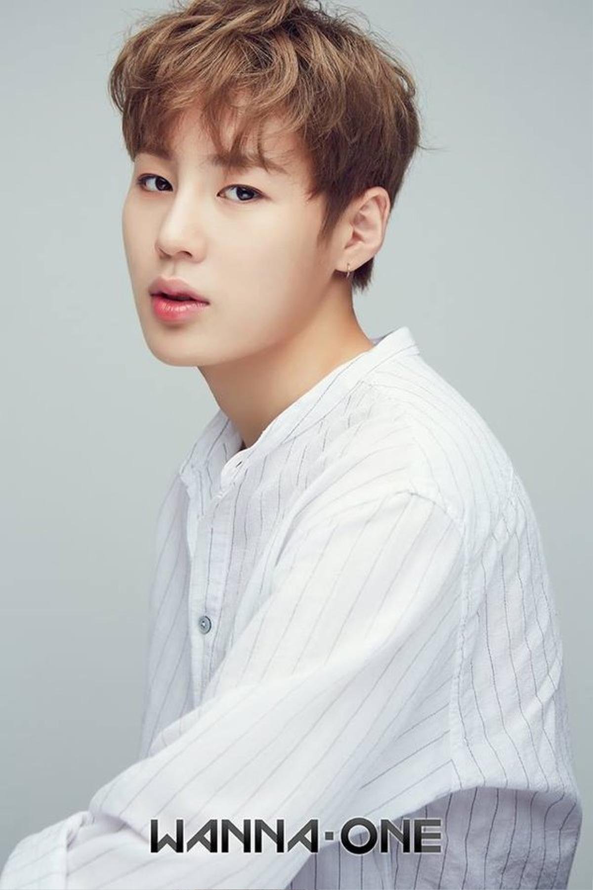 Vừa 'nhăm nhe' comeback, Ali Hoàng Dương xác nhận đứng chung stage cùng dàn sao Kpop: cựu thành viên Wanna One - Ha Sungwoon và nhóm KARD Ảnh 1