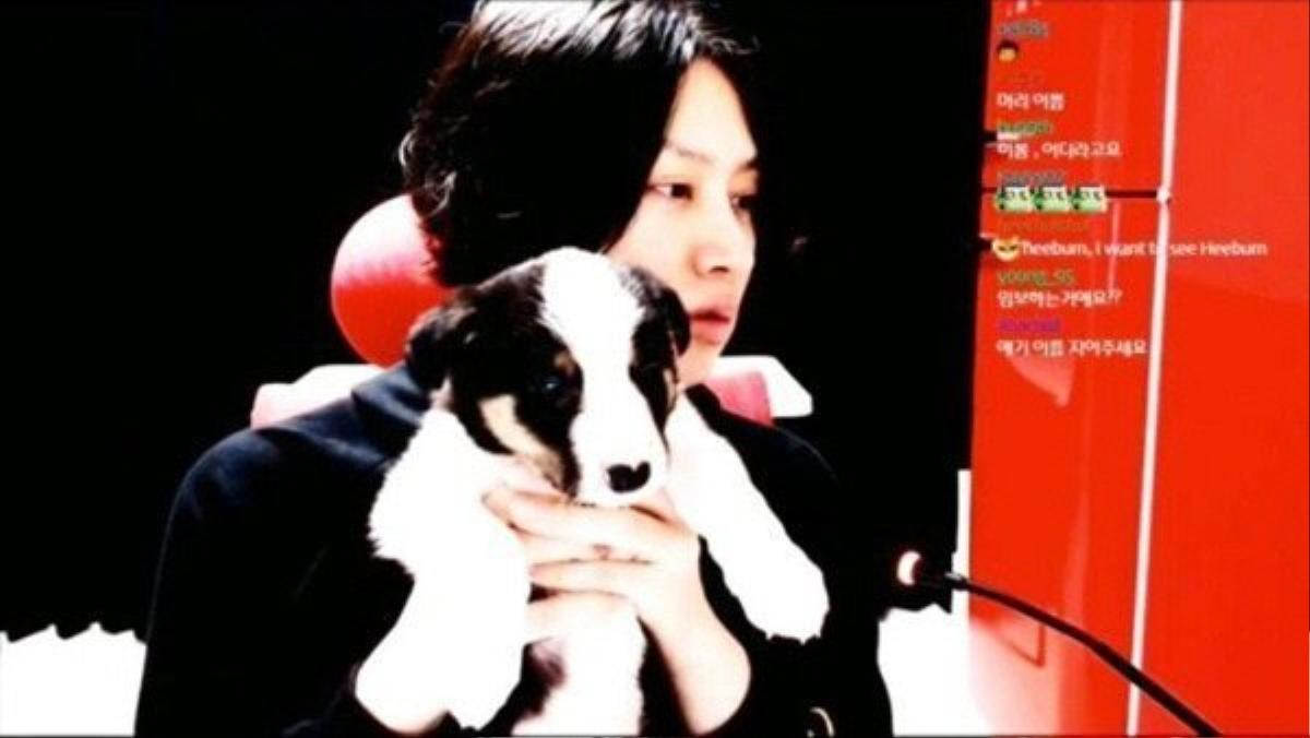 Heechul (Super Junior) đau đơn hay tin chú chó của mình bị chủ mới 'bạo hành' đến liệt nửa người Ảnh 1