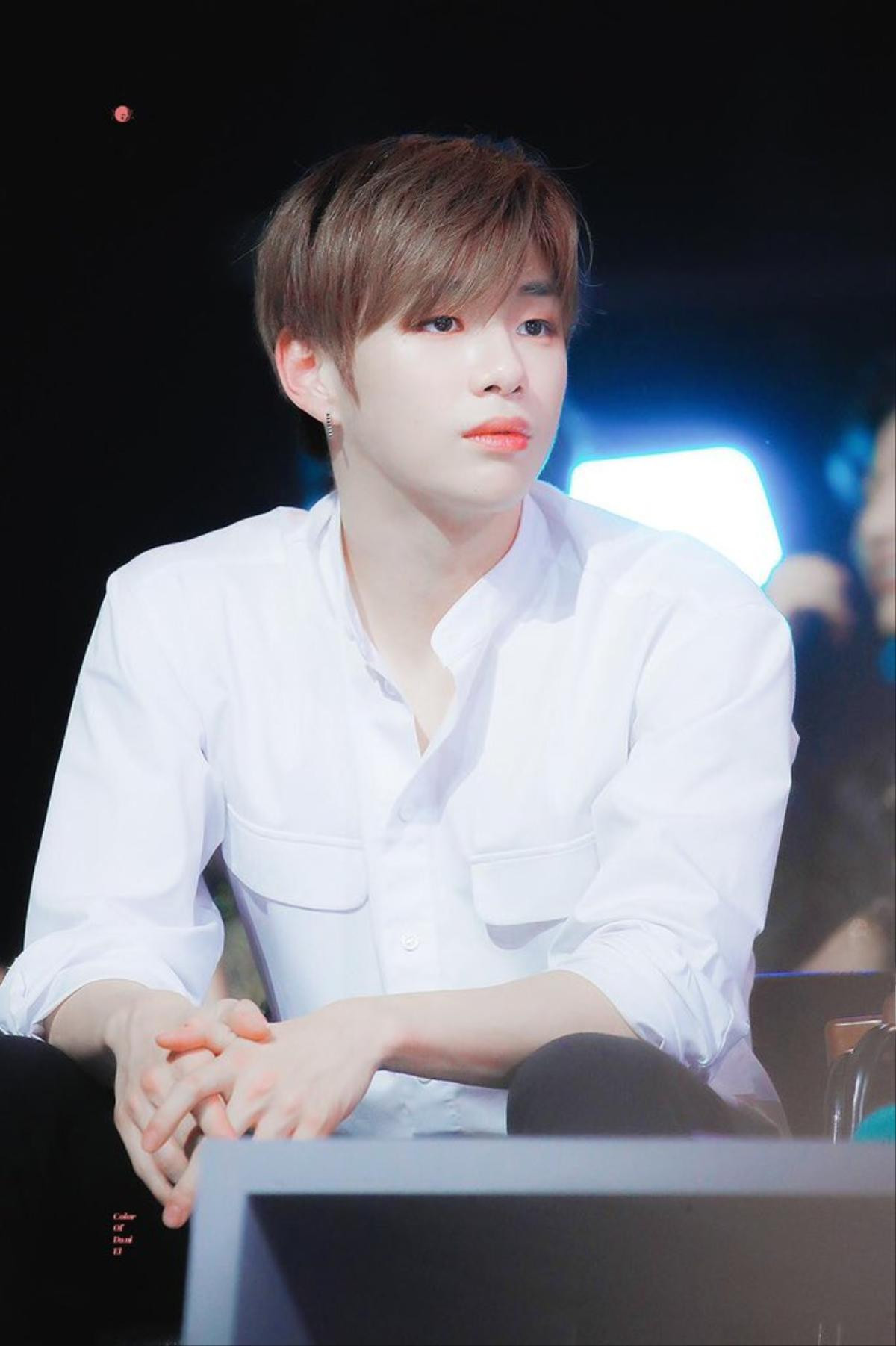 Kpop tuần qua: Nu'est lần đầu giành cúp sau 7 năm, Kang Daniel bị công ty kiện ngược Ảnh 11