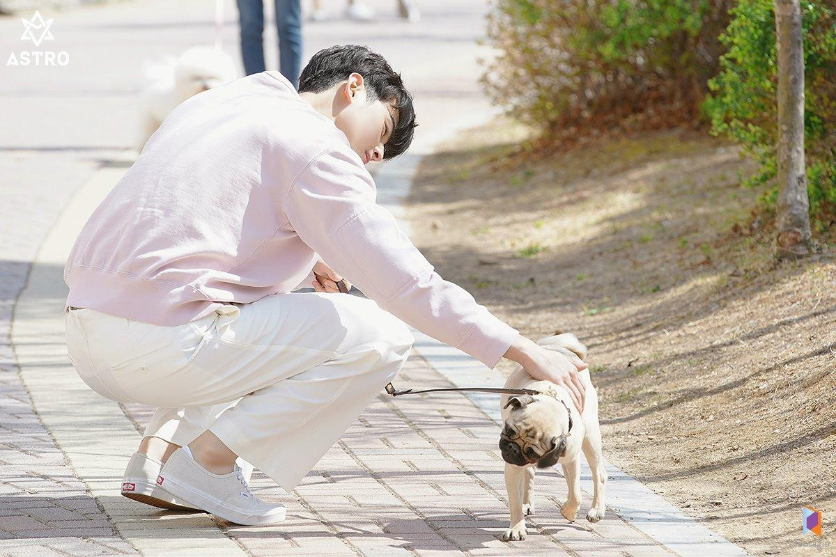 Bộ ảnh gây thương nhớ của 'nam thần vạn người mê' Cha Eun Woo (ASTRO) Ảnh 4