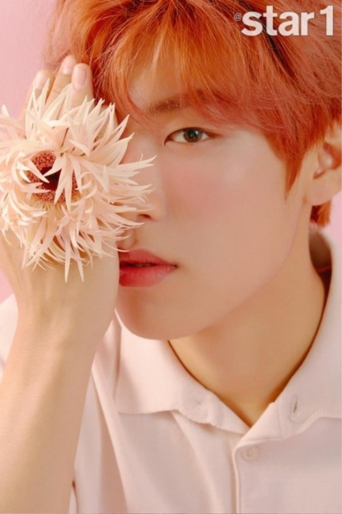 Hậu kết thúc với Wanna One, Park Woo Jin ra mắt với AB6IX, không quên dặn dò các thực tập sinh Produce X 101 Ảnh 5