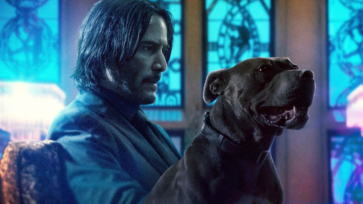 John Wick: Parabellum: Hành động non-stop mãn nhãn Ảnh 8