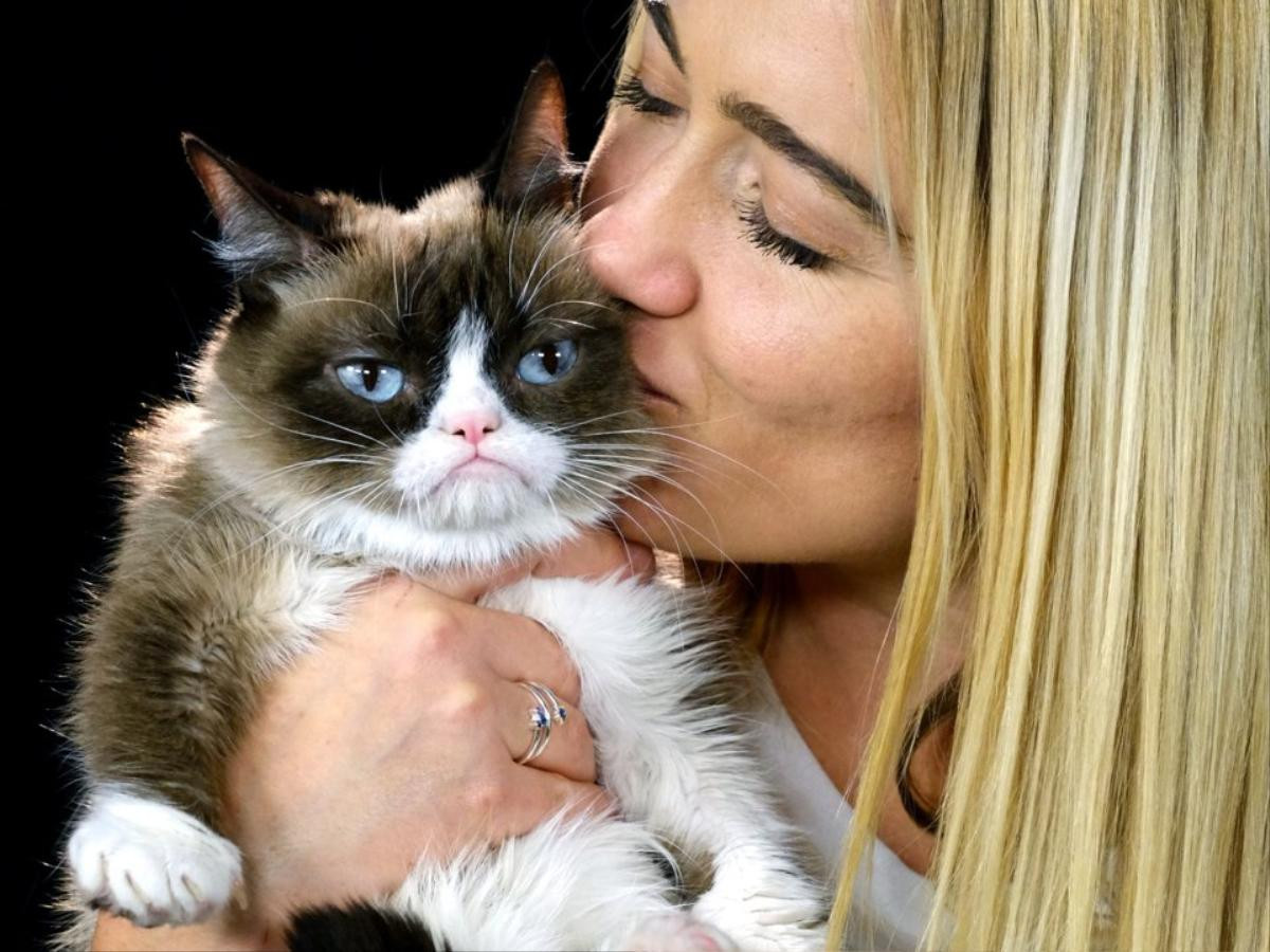 23 tấm ảnh cho thấy cuộc đời rực rỡ của chú mèo cau có Grumpy Cat Ảnh 10