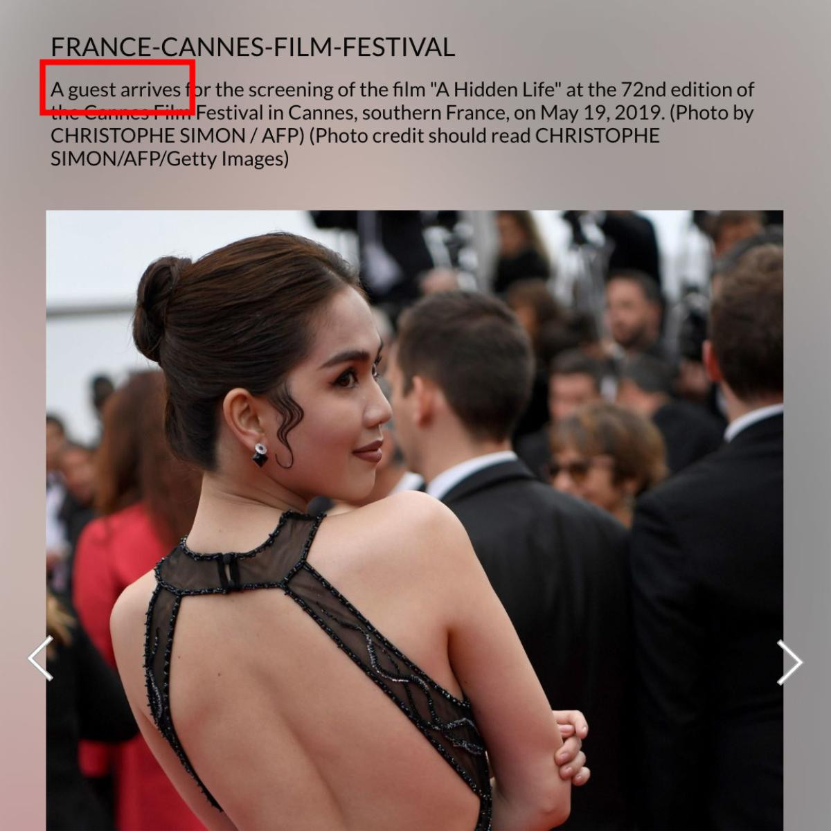 ‘Hở bạo’ trên thảm đỏ Cannes 2019, Ngọc Trinh bị cư dân mạng Việt Nam chỉ trích nặng nề Ảnh 8