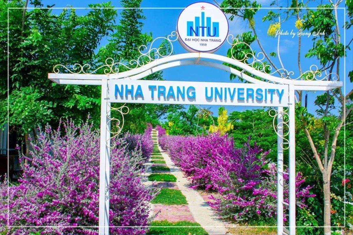 Xuýt xoa trước 'con đường màu tím' cực nên thơ tại Đại học Nha Trang, lạc vào chẳng nỡ rời Ảnh 4