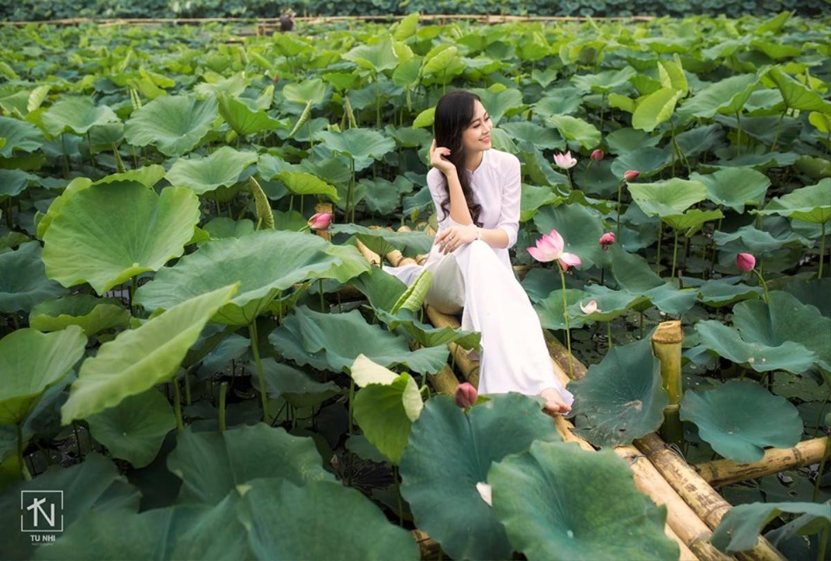 Hoa khôi Imiss Thăng Long thả dáng với sen đầu mùa Ảnh 5