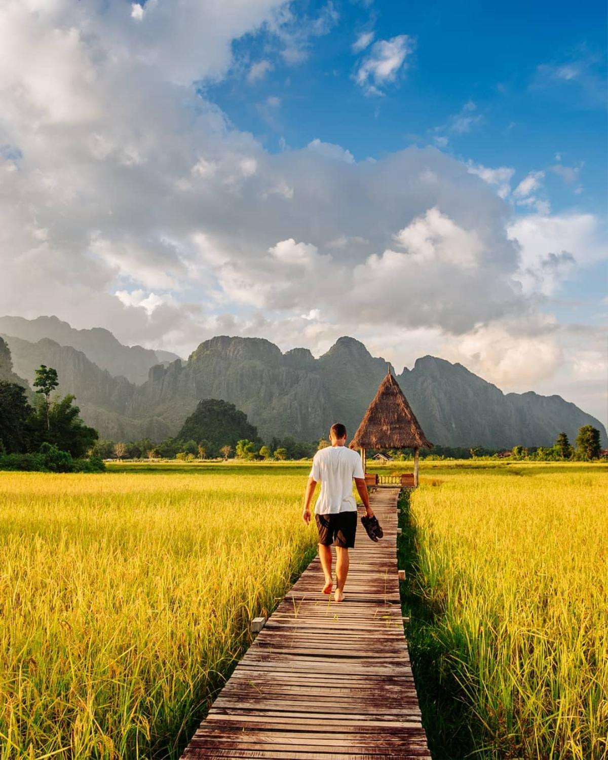 Ngất ngây cây cầu gỗ giữa đồng ruộng xanh rì khiến người ta phải thốt lên: Lào đẹp đến thế này ư? Ảnh 1