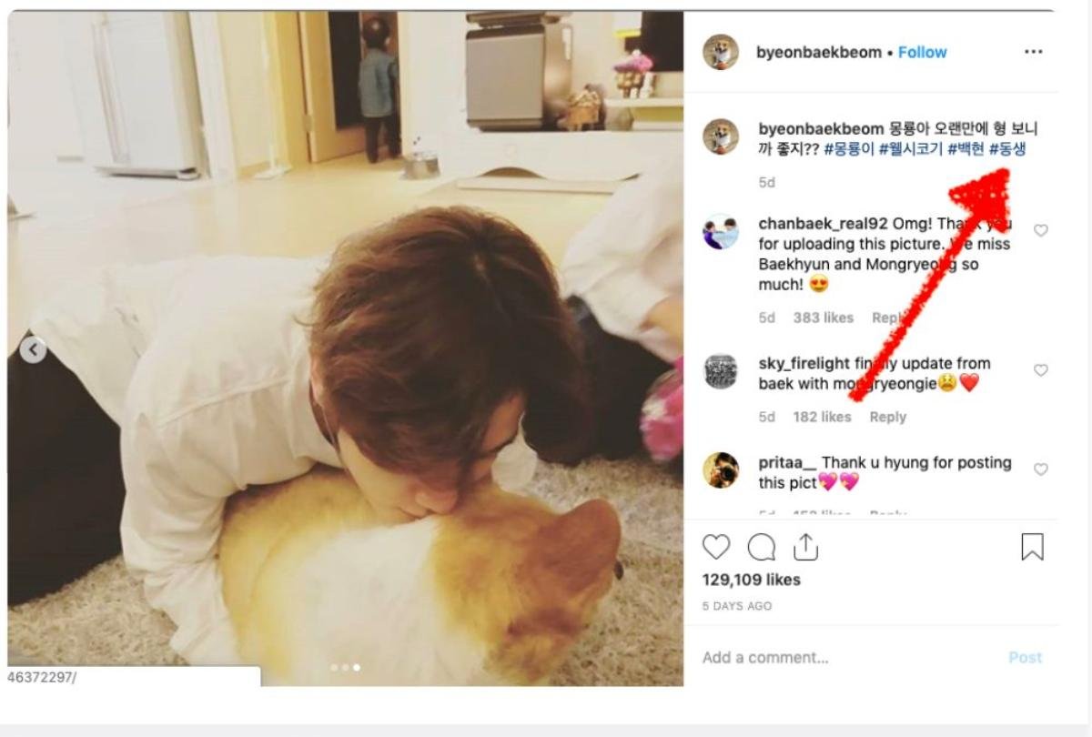 EXO Baekhyun và anh trai tương tác trên Instagram cưng xỉu làm fan đổ đứ đừ Ảnh 4