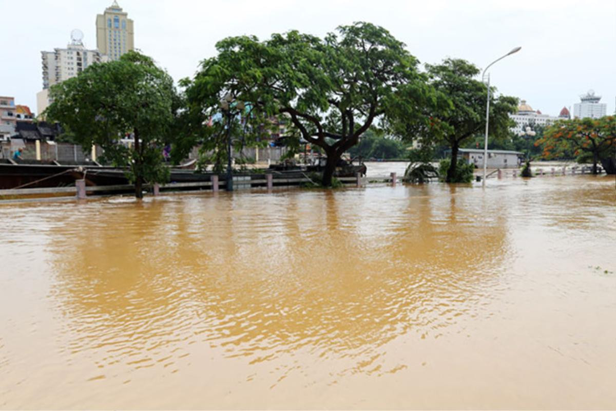 Móng Cái mưa lớn lịch sử: Đường phố chìm trong biển nước, một người bị lũ cuốn Ảnh 4