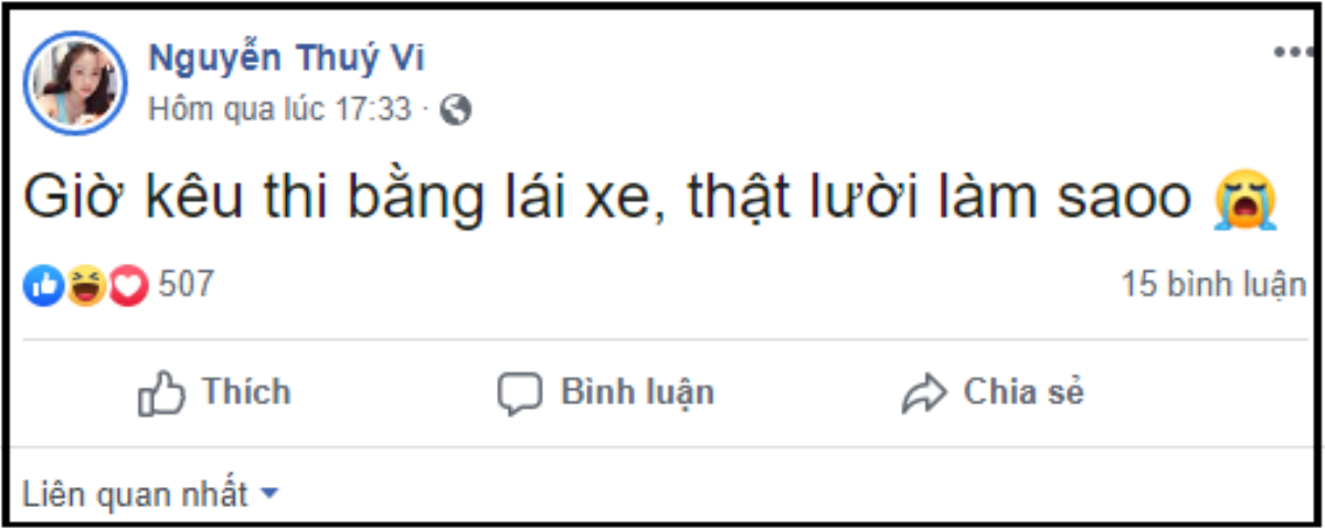 Thật trùng hợp, Midu vừa tậu siêu xe thì Thúy Vi cũng đăng đàn hỏi: 'Nên mua BMW hay Audi đây?' Ảnh 4