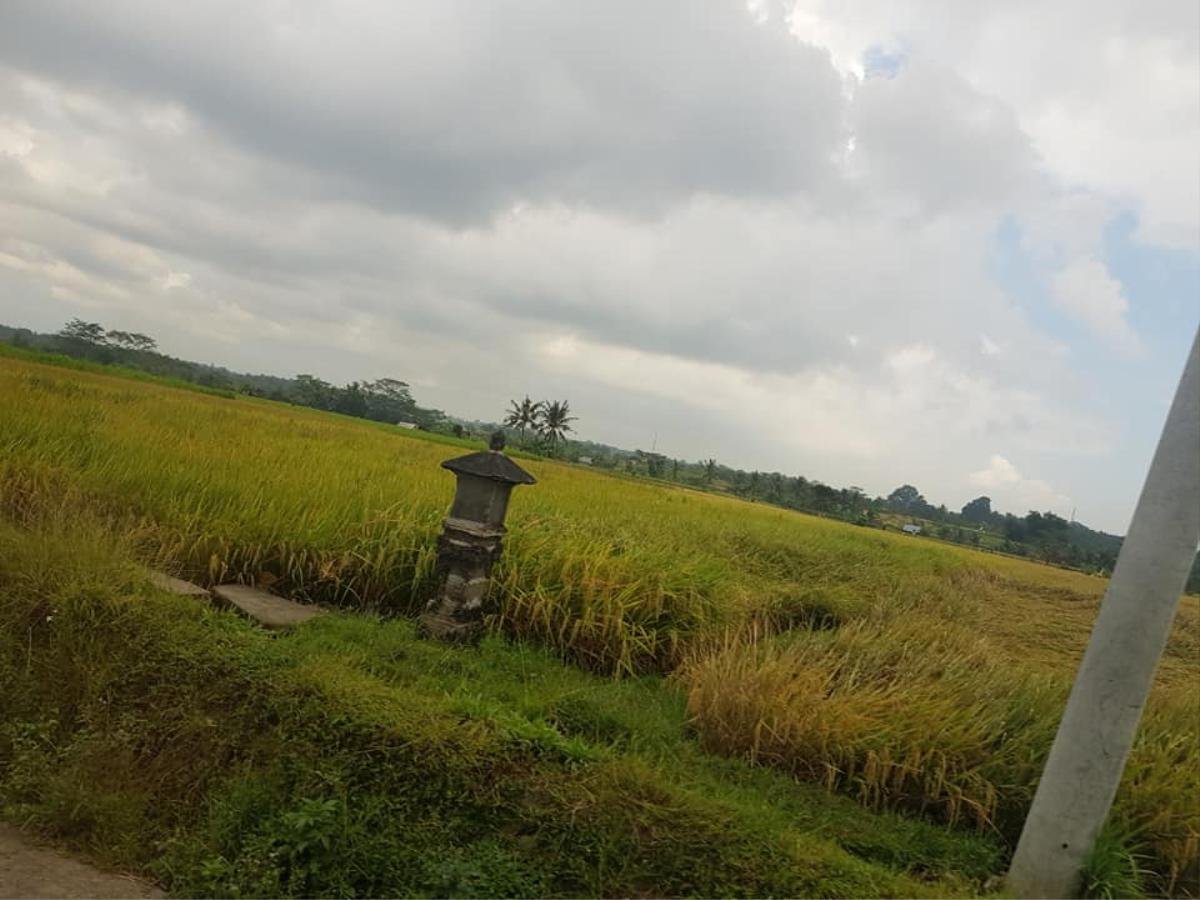 Cô gái đăng đàn chê Bali 'nghèo, ảo và không lung linh' khiến hội những người từng đi Bali bức xúc vì cách review không có tâm Ảnh 8