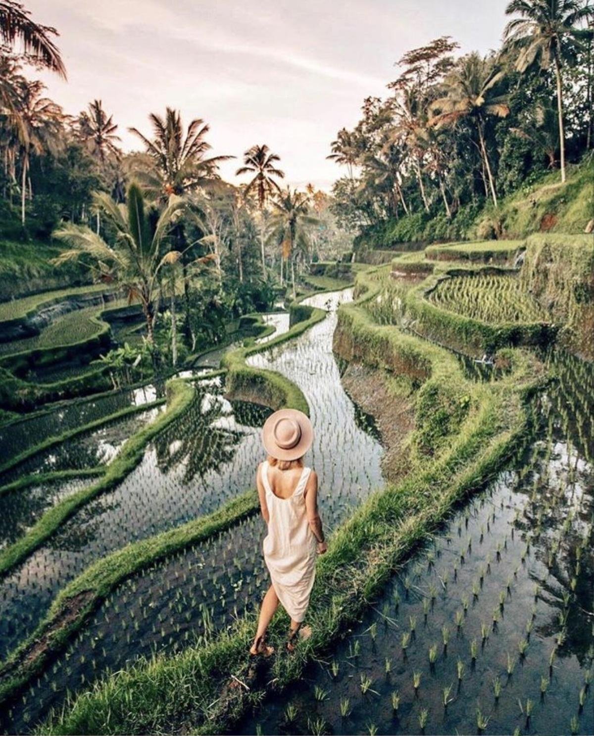 Cô gái đăng đàn chê Bali 'nghèo, ảo và không lung linh' khiến hội những người từng đi Bali bức xúc vì cách review không có tâm Ảnh 1