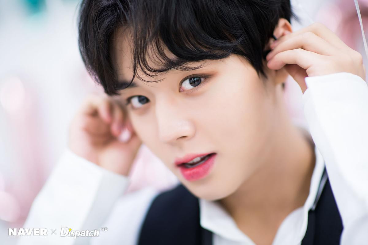 Dispatch tung bộ ảnh đẹp không tì vết mừng sinh thần Park Ji Hoon (Wanne One), K-net nói gì? Ảnh 12