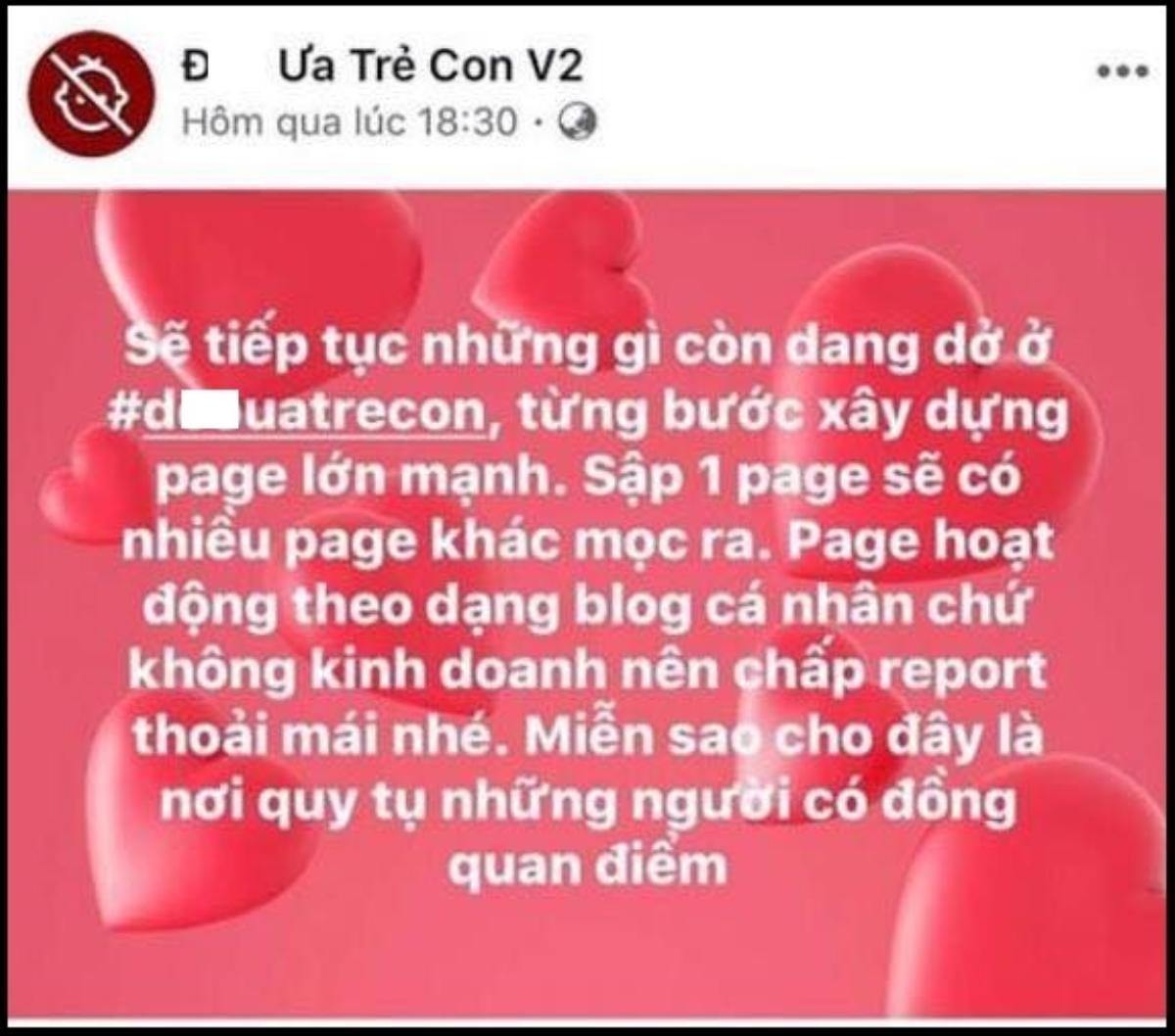 Bị lên án đến khoá page vì nội dung 'thù ghét trẻ con', admin khẳng định: 'Ngoài đời mình chưa từng đánh đập, kì thị bất kì đứa trẻ nào' Ảnh 4