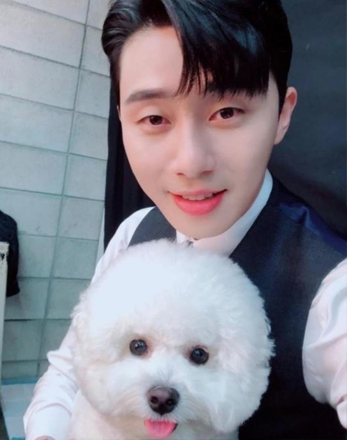 Ai cũng sẽ muốn được ôm như cách Park Seo Joon ôm chú cún Simba Ảnh 4