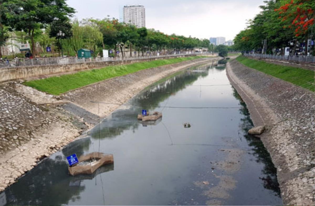 Sông Tô Lịch 'có thể thả cá' sau khi làm sạch bằng công nghệ Nhật Ảnh 1