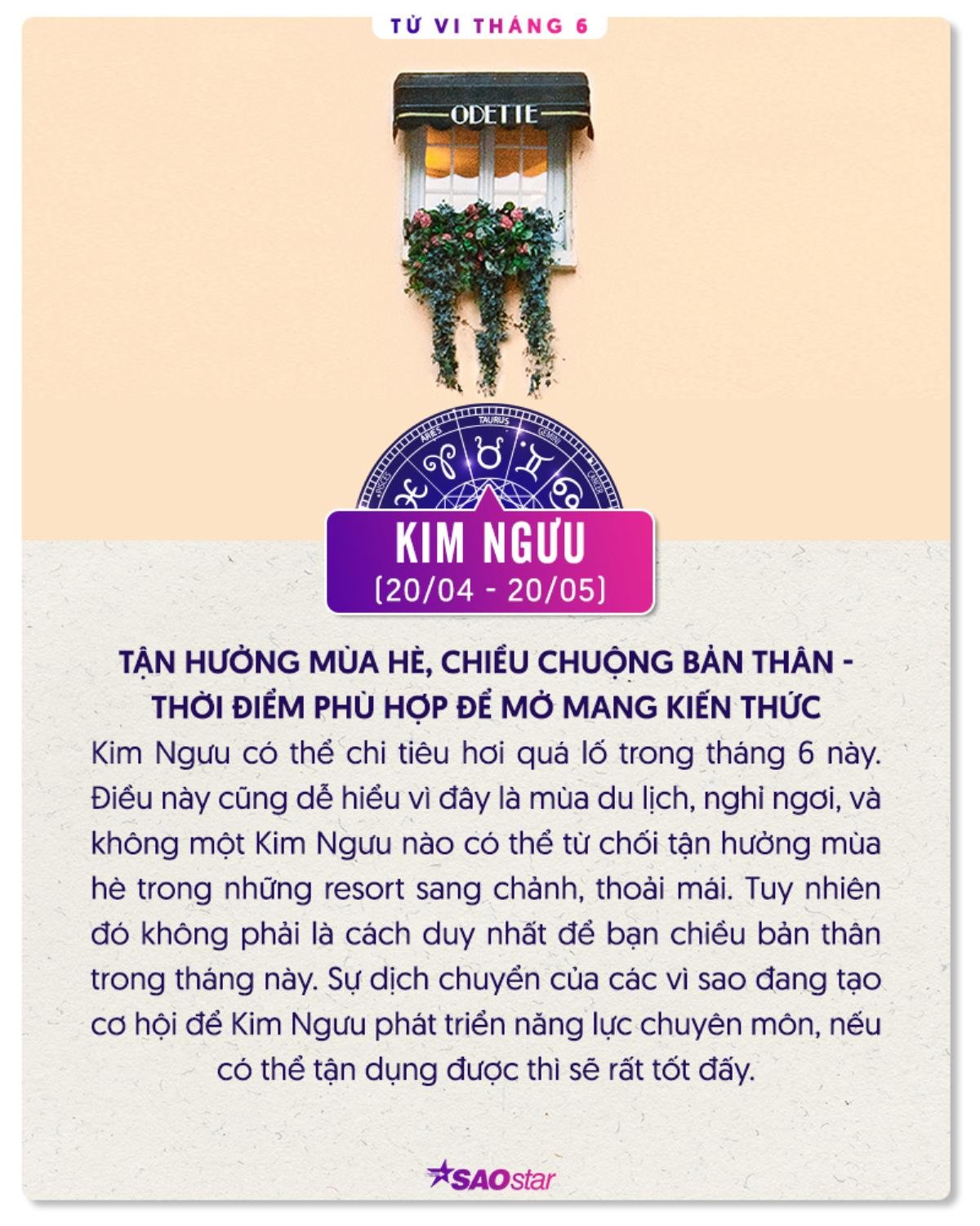 Tử vi 12 chòm sao tháng 6: Song Tử tài chính dư dả, Xử Nữ biến động tình cảm Ảnh 2