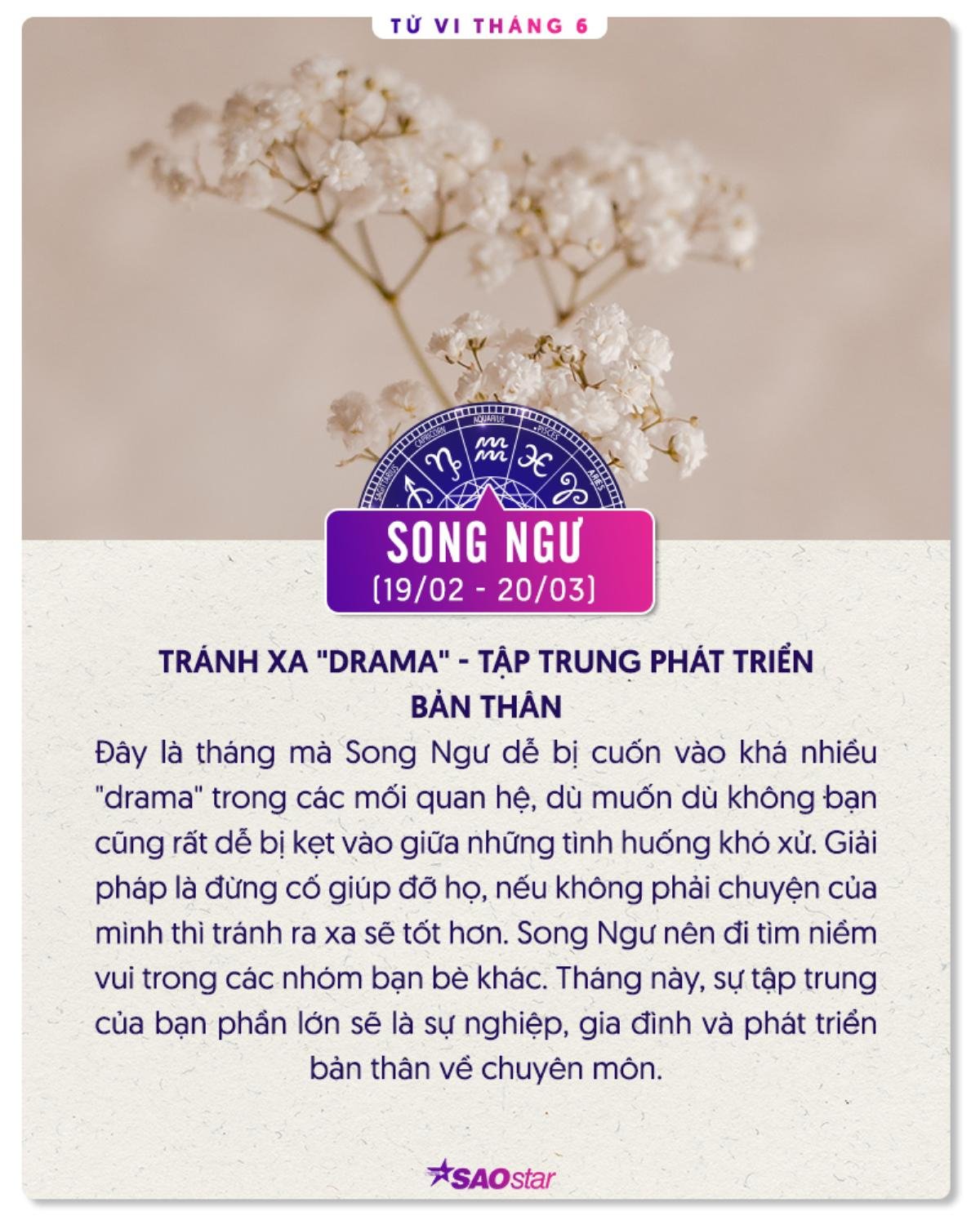 Tử vi 12 chòm sao tháng 6: Song Tử tài chính dư dả, Xử Nữ biến động tình cảm Ảnh 12