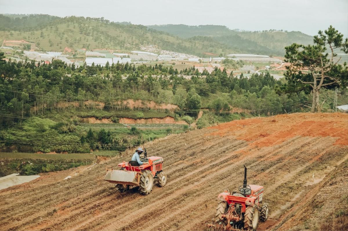 Có một Đà Lạt rất xanh, rất thơ và vắng bóng khách du lịch qua ống kính của chàng kiến trúc sư Sài Gòn Ảnh 14