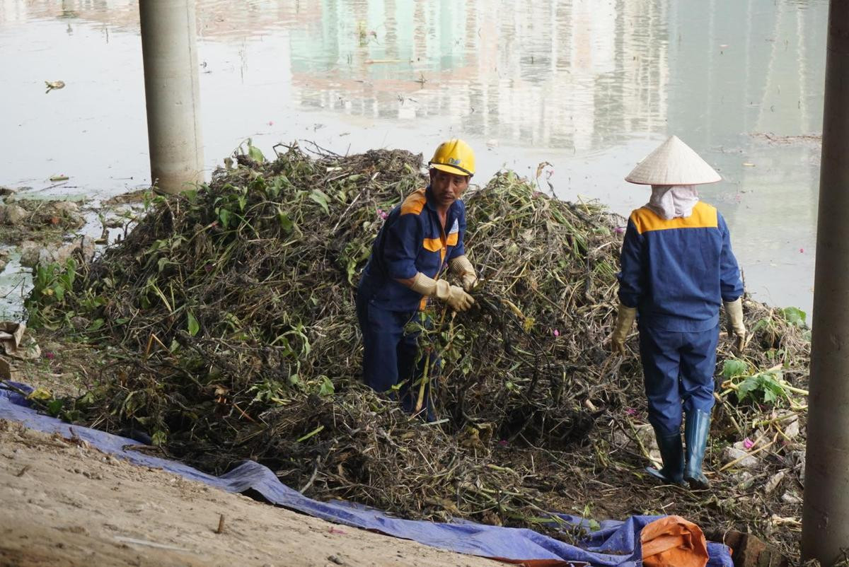 Công nhân thu dọn lòng hồ ô nhiễm như 'bãi đầm hoang' ở công viên gần 300 tỷ Hà Nội Ảnh 9