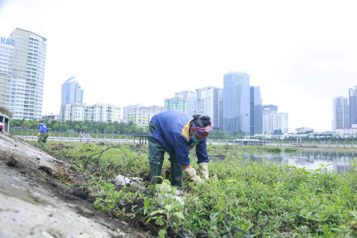 Công nhân thu dọn lòng hồ ô nhiễm như 'bãi đầm hoang' ở công viên gần 300 tỷ Hà Nội Ảnh 8