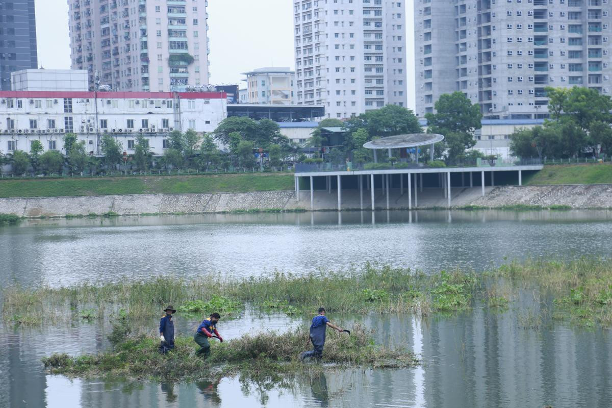 Công nhân thu dọn lòng hồ ô nhiễm như 'bãi đầm hoang' ở công viên gần 300 tỷ Hà Nội Ảnh 2