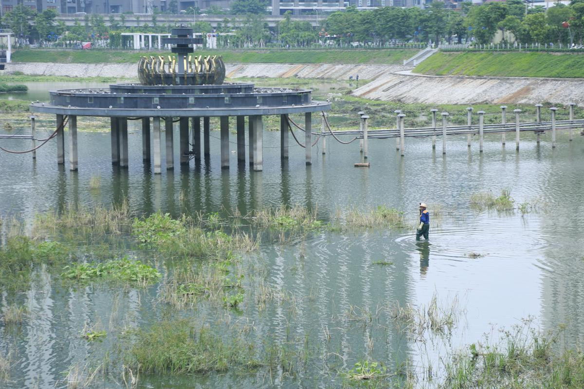 Công nhân thu dọn lòng hồ ô nhiễm như 'bãi đầm hoang' ở công viên gần 300 tỷ Hà Nội Ảnh 3