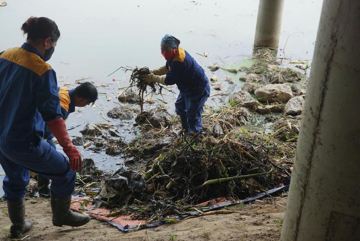 Công nhân thu dọn lòng hồ ô nhiễm như 'bãi đầm hoang' ở công viên gần 300 tỷ Hà Nội Ảnh 10